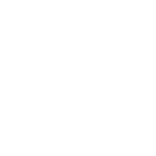 SIGI Profissional